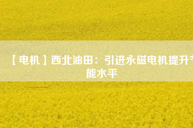 【電機】西北油田：引進(jìn)永磁電機提升節(jié)能水平
          