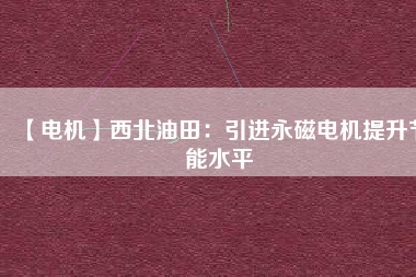 【電機】西北油田：引進(jìn)永磁電機提升節(jié)能水平
          