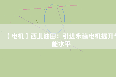 【電機】西北油田：引進(jìn)永磁電機提升節(jié)能水平
          