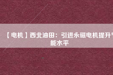 【電機】西北油田：引進(jìn)永磁電機提升節(jié)能水平
          