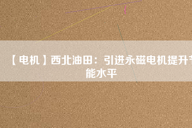 【電機】西北油田：引進(jìn)永磁電機提升節(jié)能水平
          