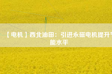 【電機】西北油田：引進(jìn)永磁電機提升節(jié)能水平
          