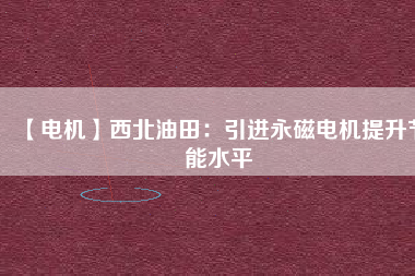 【電機】西北油田：引進(jìn)永磁電機提升節(jié)能水平
          