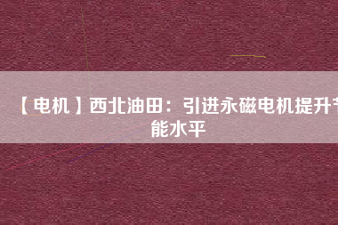 【電機】西北油田：引進(jìn)永磁電機提升節(jié)能水平
          