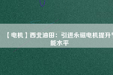【電機】西北油田：引進(jìn)永磁電機提升節(jié)能水平
          