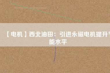 【電機】西北油田：引進(jìn)永磁電機提升節(jié)能水平
          