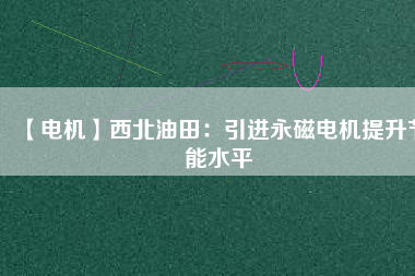 【電機】西北油田：引進(jìn)永磁電機提升節(jié)能水平
          