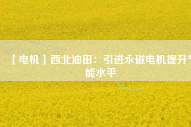 【電機】西北油田：引進(jìn)永磁電機提升節(jié)能水平
          