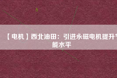 【電機】西北油田：引進(jìn)永磁電機提升節(jié)能水平
          