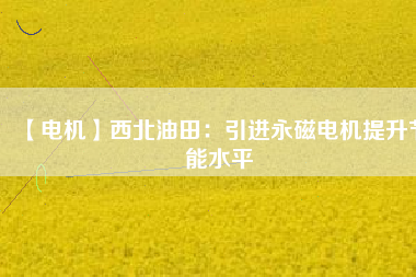 【電機】西北油田：引進(jìn)永磁電機提升節(jié)能水平
          