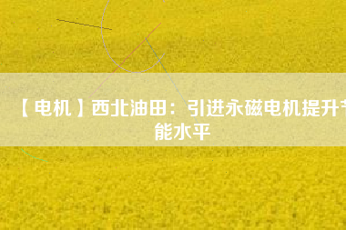 【電機】西北油田：引進(jìn)永磁電機提升節(jié)能水平
          