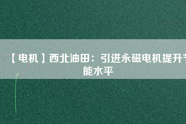 【電機】西北油田：引進(jìn)永磁電機提升節(jié)能水平
          