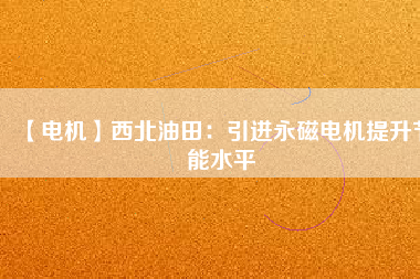 【電機】西北油田：引進(jìn)永磁電機提升節(jié)能水平
          