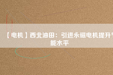 【電機】西北油田：引進(jìn)永磁電機提升節(jié)能水平
          