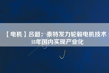 【電機(jī)】呂超：泰特發(fā)力輪轂電機(jī)技術(shù) 2018年國(guó)內(nèi)實(shí)現(xiàn)產(chǎn)業(yè)化
          
