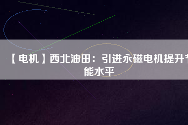 【電機】西北油田：引進(jìn)永磁電機提升節(jié)能水平
          
