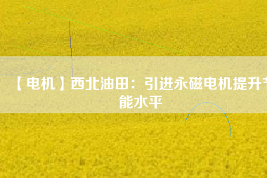 【電機】西北油田：引進(jìn)永磁電機提升節(jié)能水平
          