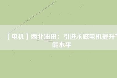 【電機】西北油田：引進(jìn)永磁電機提升節(jié)能水平
          