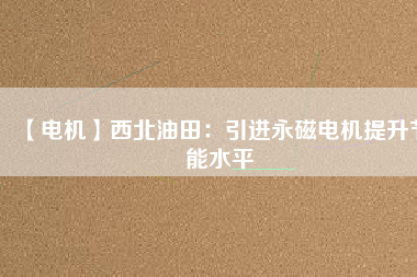 【電機】西北油田：引進(jìn)永磁電機提升節(jié)能水平
          