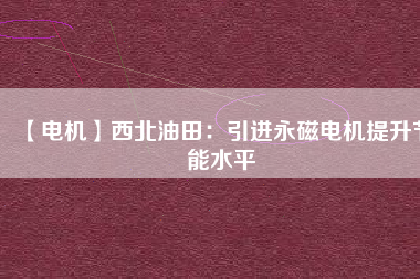 【電機】西北油田：引進(jìn)永磁電機提升節(jié)能水平
          