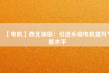 【電機】西北油田：引進(jìn)永磁電機提升節(jié)能水平
          