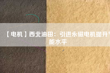 【電機】西北油田：引進(jìn)永磁電機提升節(jié)能水平
          