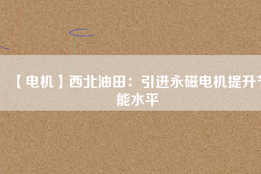 【電機】西北油田：引進(jìn)永磁電機提升節(jié)能水平
          