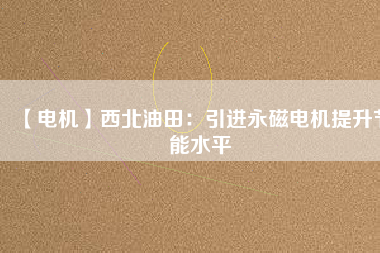 【電機】西北油田：引進(jìn)永磁電機提升節(jié)能水平
          