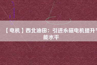 【電機】西北油田：引進(jìn)永磁電機提升節(jié)能水平
          