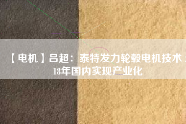 【電機(jī)】呂超：泰特發(fā)力輪轂電機(jī)技術(shù) 2018年國(guó)內(nèi)實(shí)現(xiàn)產(chǎn)業(yè)化
          