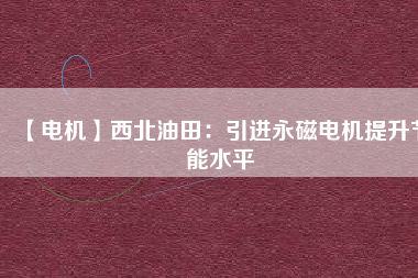 【電機】西北油田：引進(jìn)永磁電機提升節(jié)能水平
          