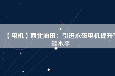 【電機】西北油田：引進(jìn)永磁電機提升節(jié)能水平
          