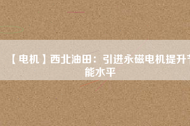 【電機】西北油田：引進(jìn)永磁電機提升節(jié)能水平
          
