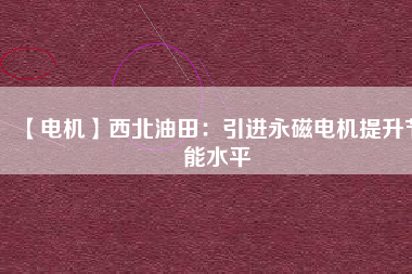 【電機】西北油田：引進(jìn)永磁電機提升節(jié)能水平
          