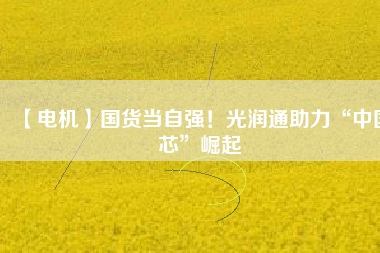 【電機(jī)】國(guó)貨當(dāng)自強(qiáng)！光潤(rùn)通助力“中國(guó)芯”崛起
          
