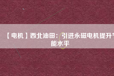 【電機】西北油田：引進(jìn)永磁電機提升節(jié)能水平
          