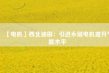 【電機】西北油田：引進(jìn)永磁電機提升節(jié)能水平
          