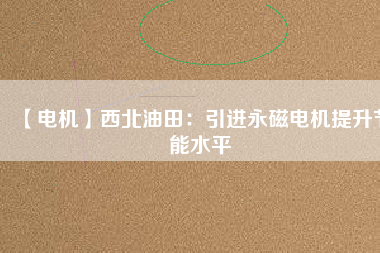 【電機】西北油田：引進(jìn)永磁電機提升節(jié)能水平
          