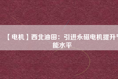 【電機】西北油田：引進(jìn)永磁電機提升節(jié)能水平
          