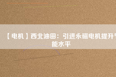 【電機】西北油田：引進(jìn)永磁電機提升節(jié)能水平
          