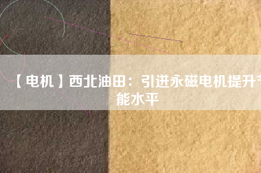 【電機】西北油田：引進(jìn)永磁電機提升節(jié)能水平
          