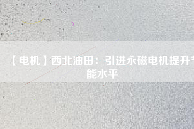 【電機】西北油田：引進(jìn)永磁電機提升節(jié)能水平
          