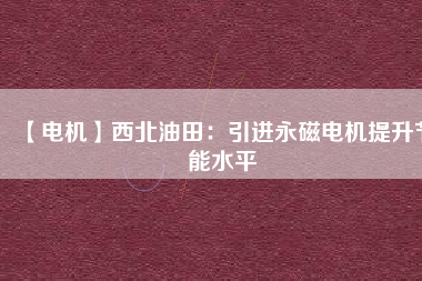【電機】西北油田：引進(jìn)永磁電機提升節(jié)能水平
          