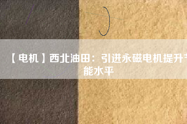 【電機】西北油田：引進(jìn)永磁電機提升節(jié)能水平
          