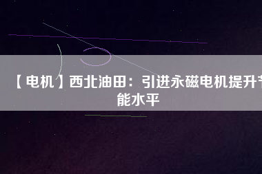 【電機】西北油田：引進(jìn)永磁電機提升節(jié)能水平
          