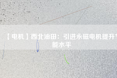 【電機】西北油田：引進(jìn)永磁電機提升節(jié)能水平
          