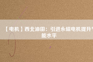 【電機】西北油田：引進(jìn)永磁電機提升節(jié)能水平
          