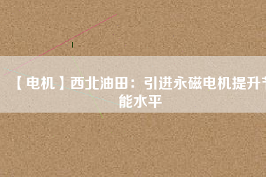 【電機】西北油田：引進(jìn)永磁電機提升節(jié)能水平
          