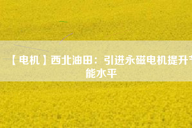 【電機】西北油田：引進(jìn)永磁電機提升節(jié)能水平
          