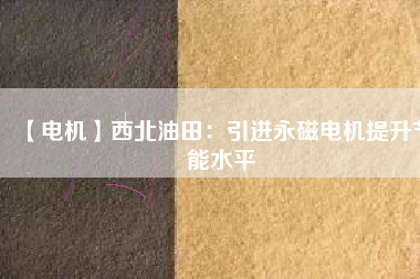 【電機】西北油田：引進(jìn)永磁電機提升節(jié)能水平
          